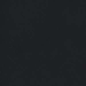 Astro Leather - Black