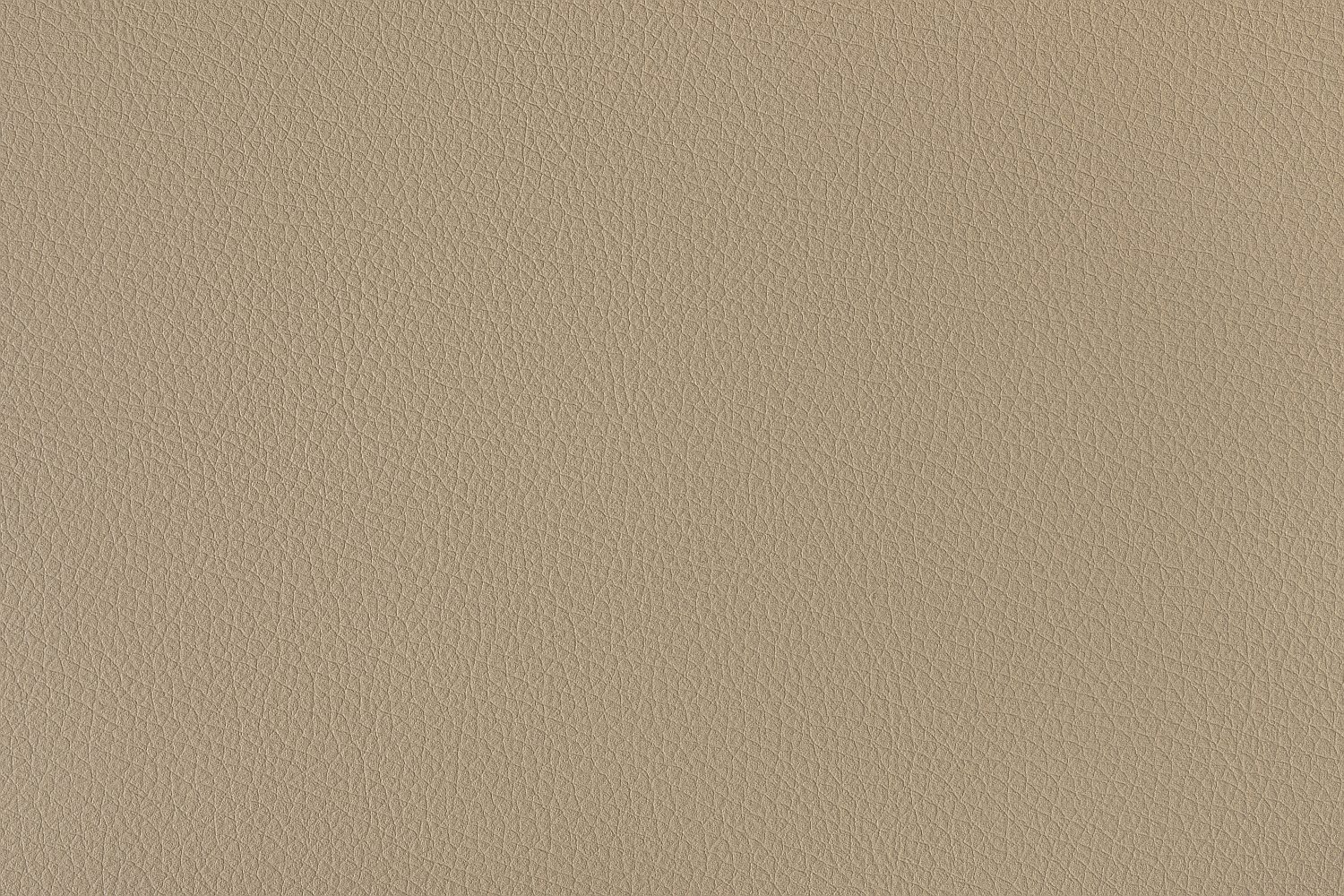 16. Cashmere Beige 3307 - Automotive Vinyl Lugano