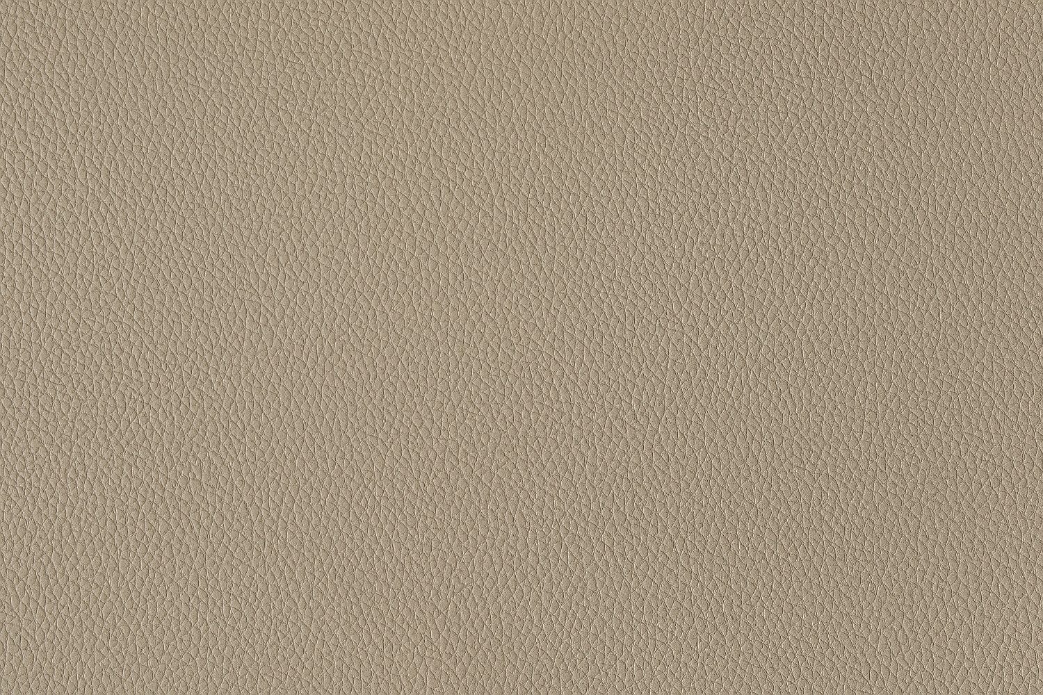 17. Macadamia 1110 - Automotive Vinyl Catania