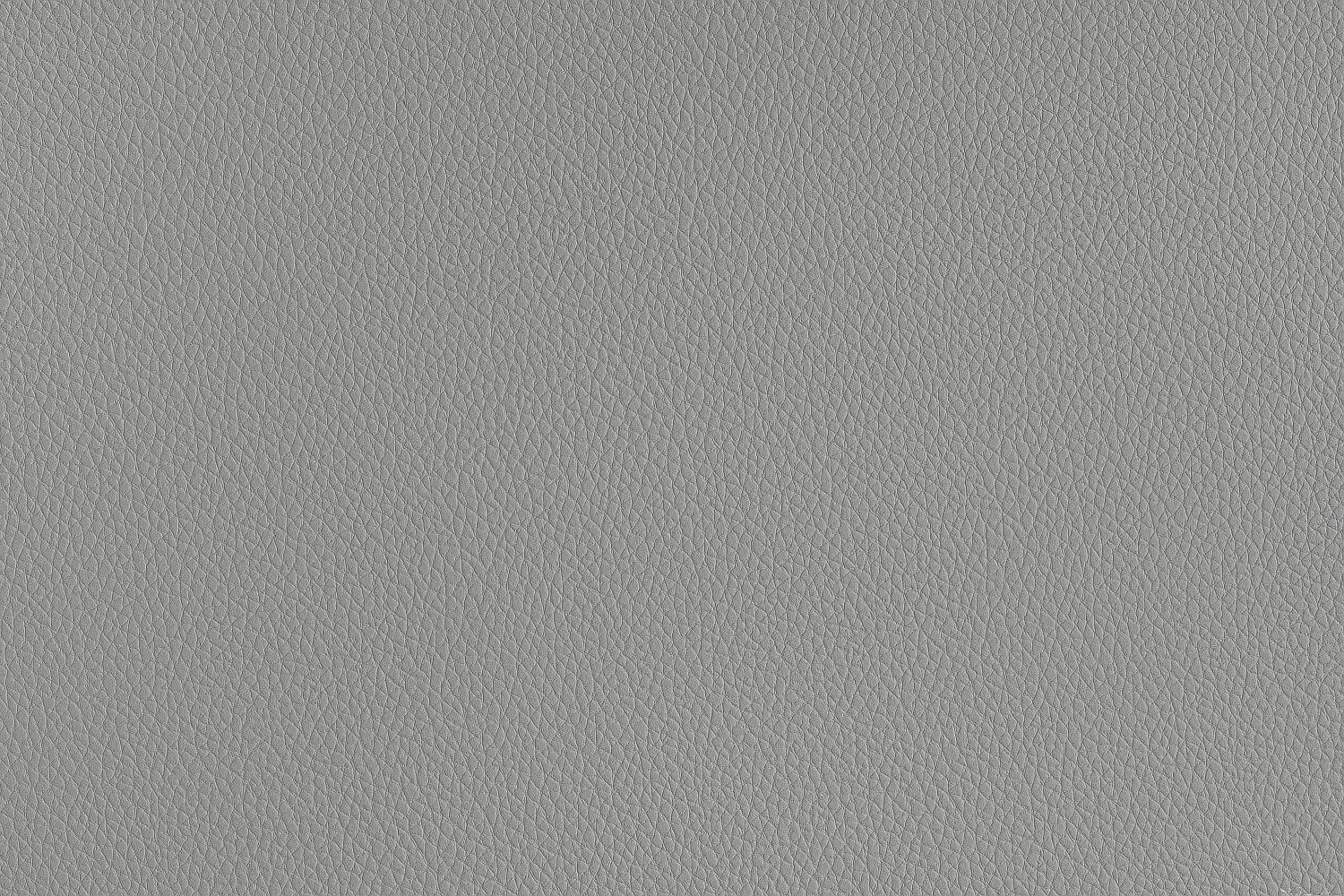 40. Palm Grey 1104 - Automotive Vinyl Catania
