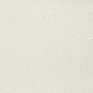 Artic 102 - Agnona - Artificial Leather