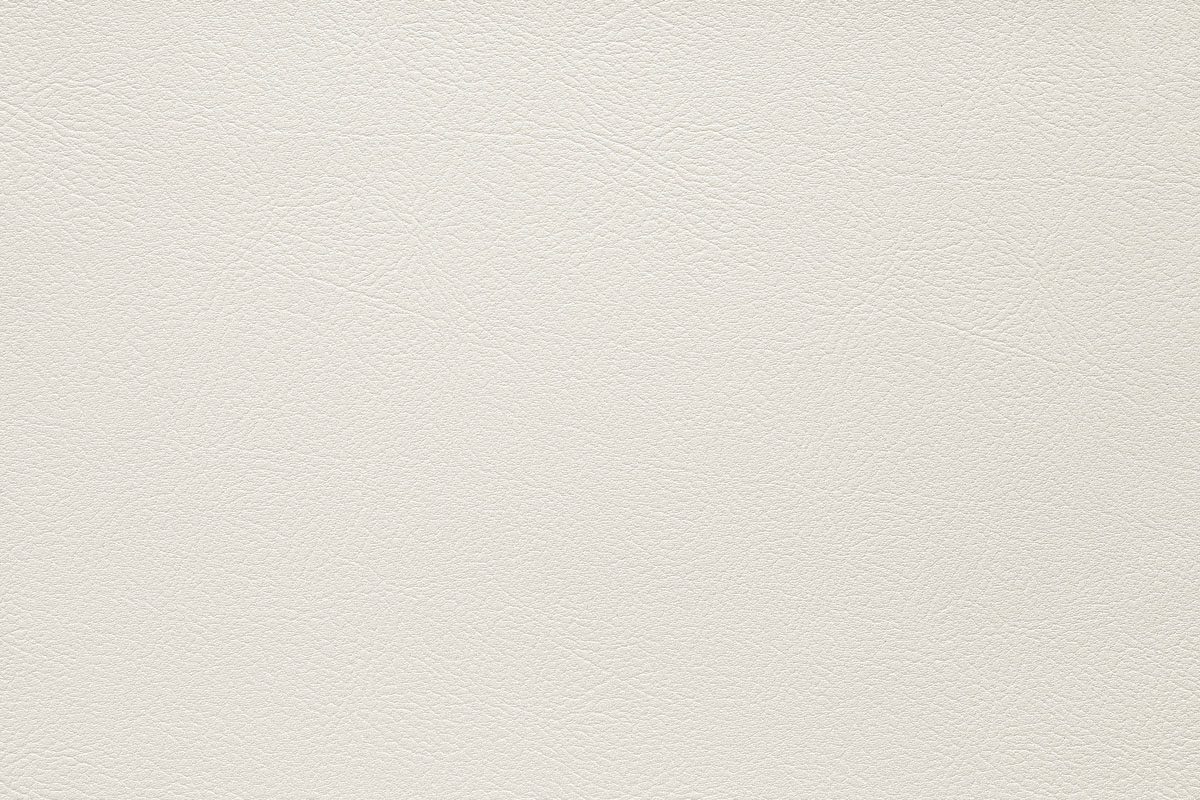 Artic 102 - Agnona - Artificial Leather