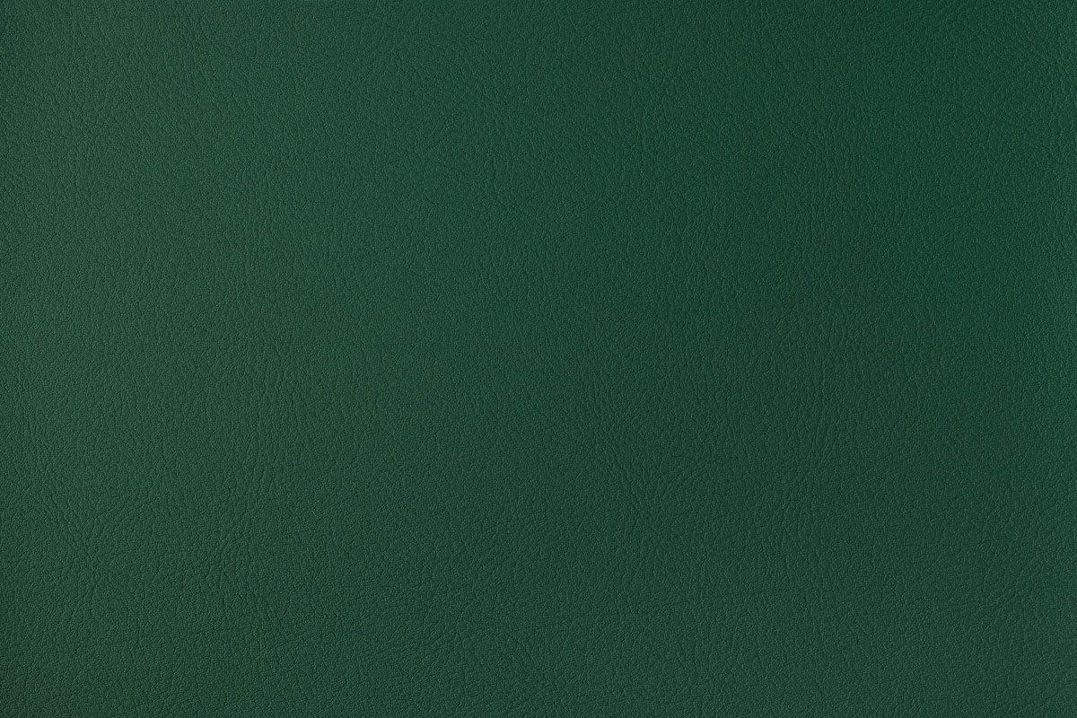 Green 145- Agnona - Artificial Leather
