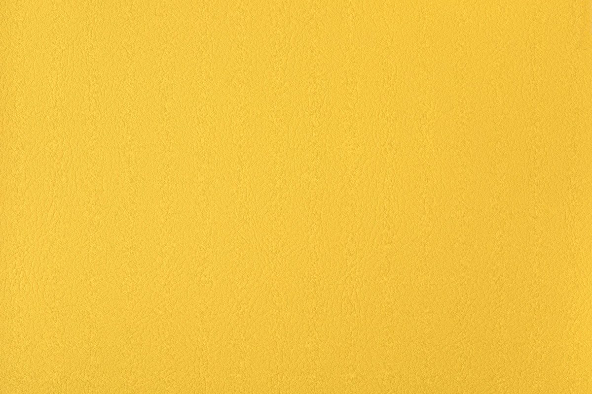 Goldfinch 151 - Agnona - Artificial Leather