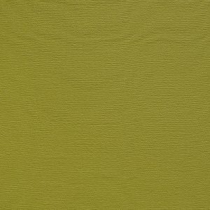 Lime 141 - Argano - Artificial Leather