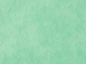 Alcantara Pannel 1363